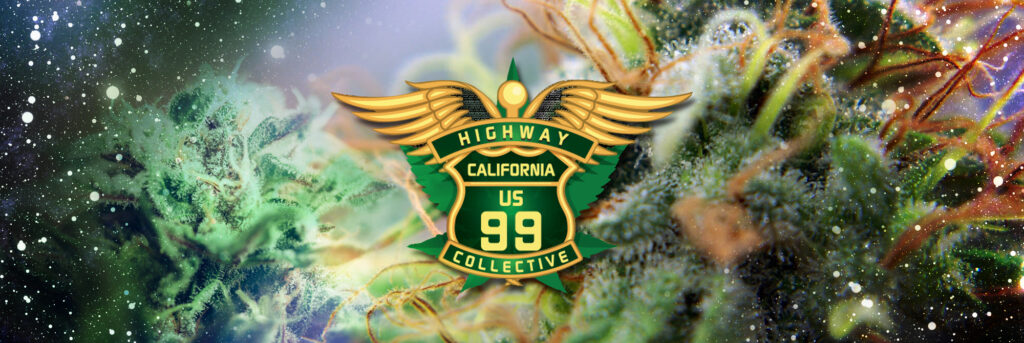 Hwy99Collecti e